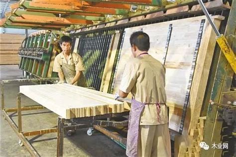 莆田秀屿区领导到木材产业园区开展调研工作 - 生意宝