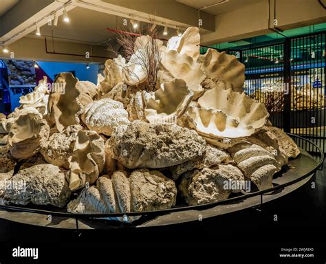 Phu Quoc island landscapes in Vietnam Stock Photo - Alamy