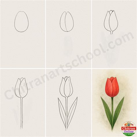 How to Draw a Tulip Flower – Easy Step-by-Step Tutorial for Kids ...