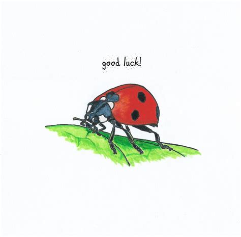 Ladybird 'good Luck' Card Exams Driving Test New - Etsy Canada