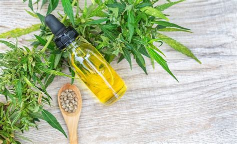 Image result for CBD Extraction Methods