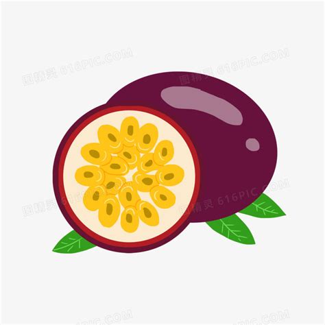 Image result for Basic HTML Form