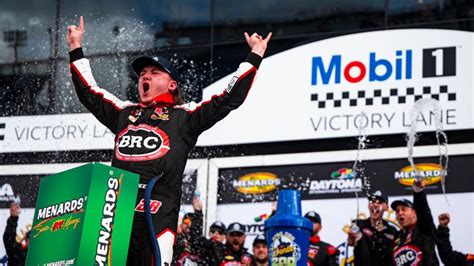 Fabio's face vs. goose roller coaster accident at Busch Gardens ...