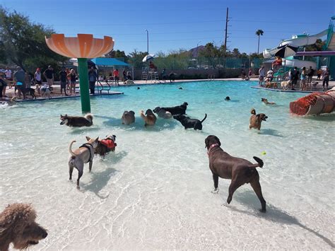 BLACK MOUNTAIN RECREATION CENTER - Henderson NV - Hours, Directions ...