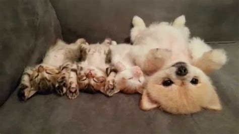 Image result for While Loop Programming