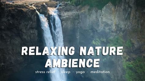 Relax 的图像结果