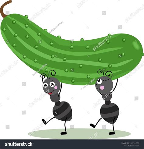 Cucumbers On Babies Images: Browse 17,653 Stock Photos & Vectors Free Download with Trial ...