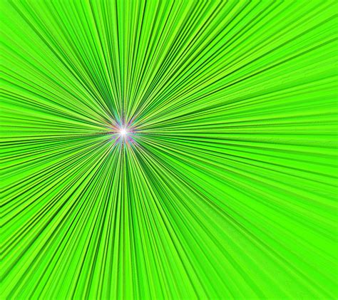 Image result for Segment Control Using HTML and CSS