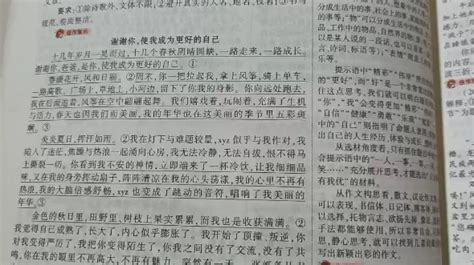 小学生作文里连写290个“吱”，老师：为凑字数，被气笑了_七环视频_澎湃新闻-The Paper