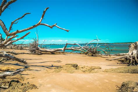 Visit Little Talbot Island State Park: Best of Little Talbot Island ...