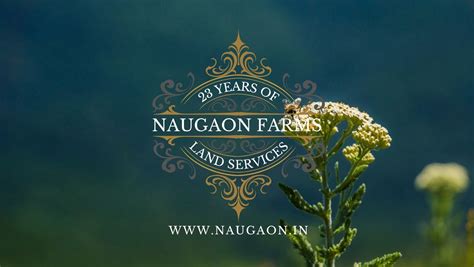 RASA ESTATE | Naugaon