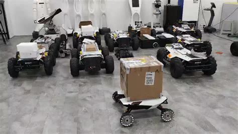 Scout Mini Robot 的图像结果