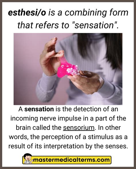 Encephal Medical Term
