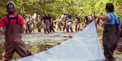 Fish conservation | College of Natural Resources and Environment | Virginia Tech