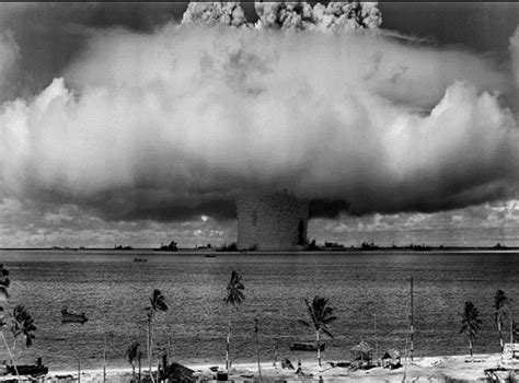 With the help of internet find out the loss of ecosystems due to wars ...