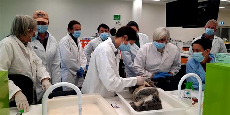 Southern New England Landcare - Professional Veterinary Training Boosts ...