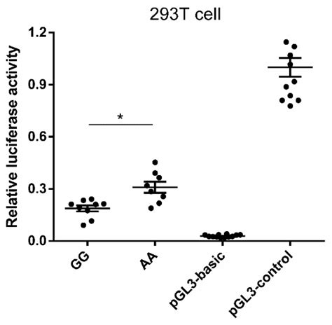 Identification of Single Nucleotide Polymorphisms in Porcine MAOA Gene ...