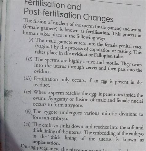 The zygote undergoes various mitotic divisions to form an embryo. | Filo