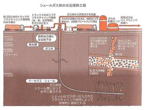 Image result for Appendix with Figures Example