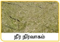 நெற்பயிர் சாகுபடிச்சூழல்கள்