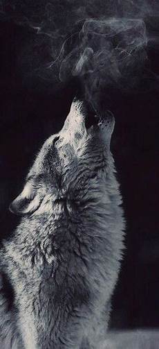 Aesthetic Wallpaper Wolf by 85 Amazing Iphone Wallpaper Aesthetic Funmary Aesthetic Wallpaper Wolf