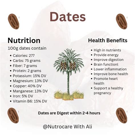 Dates Fruit Para Que Sirve at Christopher Lewis blog