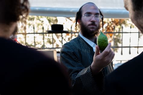 What is Sukkot? Meaning behind the Jewish holiday and the 'Chag Sukkot ...