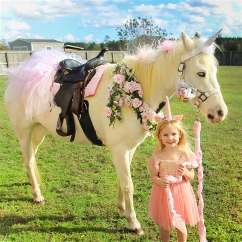Unforgettable Pony Parties: Celebrate with Joy and Adventure - Kings ...