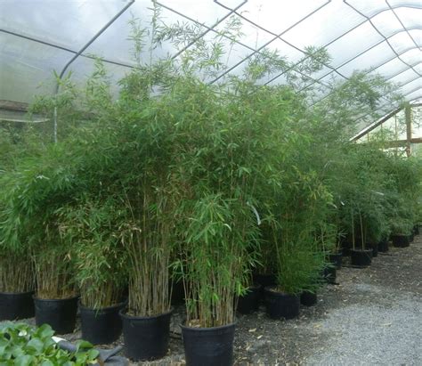 Photo Gallery - Rock Mountain Products