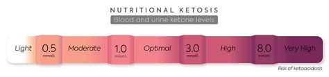 All About Ketones in Urine and Ketone Test Strips