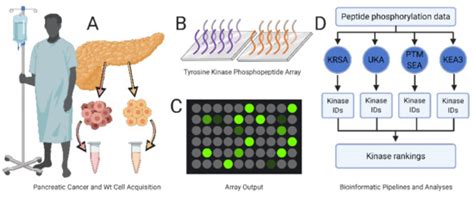 IJMS | Special Issue : Advances in Kinase Drug Discovery