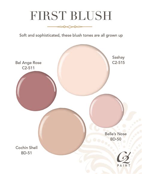 Using Blush Pink Paint Color To Create A Soft And Relaxing Atmosphere ...