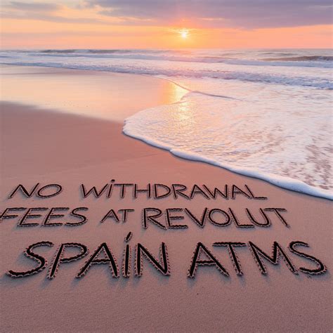 All About The Spanish Funnel Web Spider - Dave In Spain