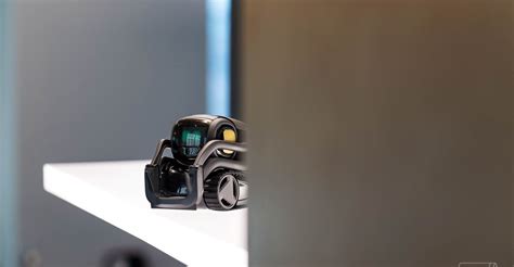 Vector Robot 的图像结果