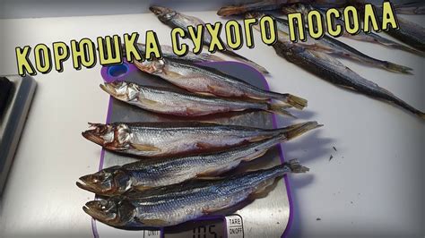 Как вялить корюшку в домашних условиях: лучшие способы и рецепты