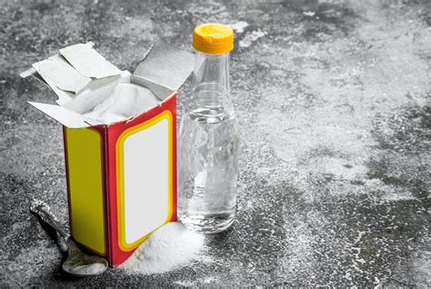 The Best Urine Smell Remover for Carpets: How to Neutralize Nasty Pet Odors - Best Carpet ...