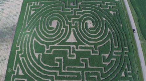 Watch CBS Evening News: A look at how a massive corn maze is built - Full show on CBS