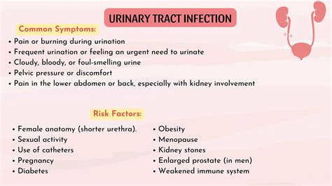 Drugs-for-UTI-Diuresis-and-Urinary-System-Disorders.pdf