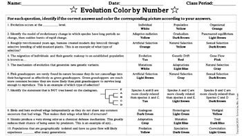 Classification by Color Code in Evolution 的图像结果