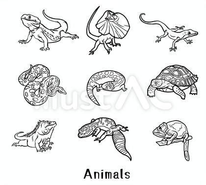 Image result for Read Python