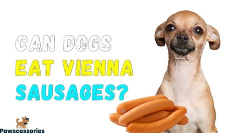 Can Dogs Eat Vienna Sausages? 4 Risks + Vet Advice If They Do