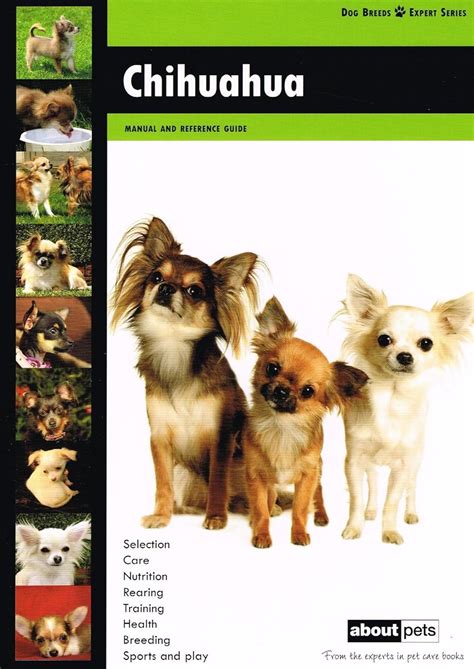 Buy Chihuahua (Dog Breed Expert Series) Book Online at Low Prices in ...