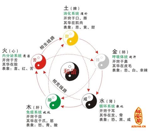 五行职业对照表 和水有关的生意大全-周易算命网