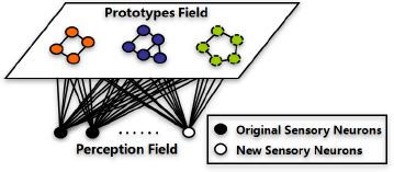 Mathematical Modelling Pen 的图像结果