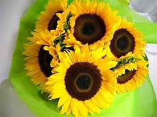 significato girasole nel linguaggio dei fiori girasoli significato significato fiori girasoli significato girasole nel linguaggio dei fiori girasoli significato significato fiori girasoli
