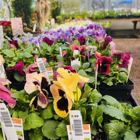 This Week at Gardner’s – Gardner's Landscape Nursery