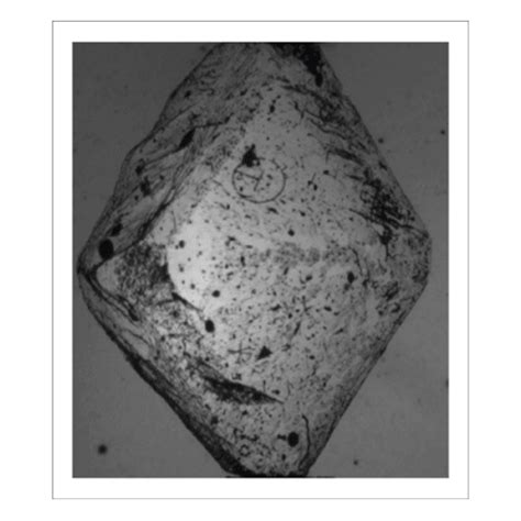 Diamond Cutting & Processing Machinery Manufacturer India - SLTL Group