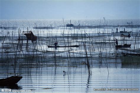 和越南渔民一起出海打鱼，今天的收获非常多，小船跑不那么远,三农,农村赶海,好看视频