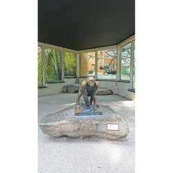 ZooLex Exhibit - Valley of the Apes - Gorillas