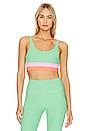BEACH RIOT Mackenzine Top in Island Green | REVOLVE